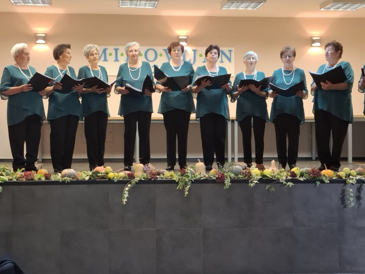 Umirovljenici Mihovljan (1)