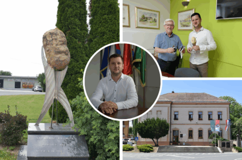 petar janušić petar janušić