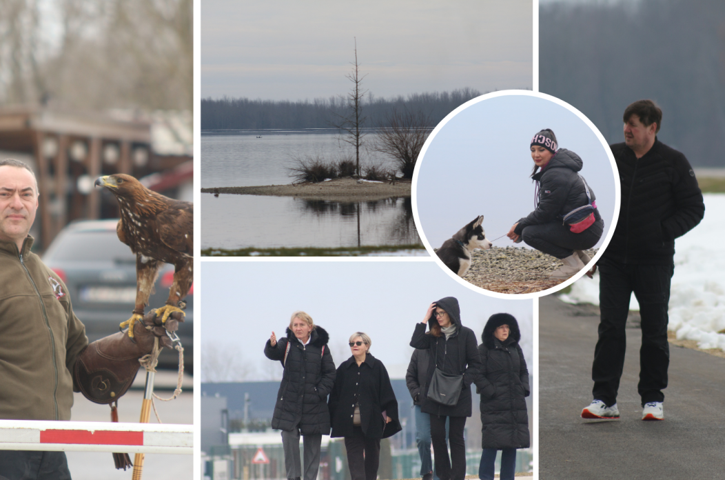 Untitled design(2) Untitled design(2)