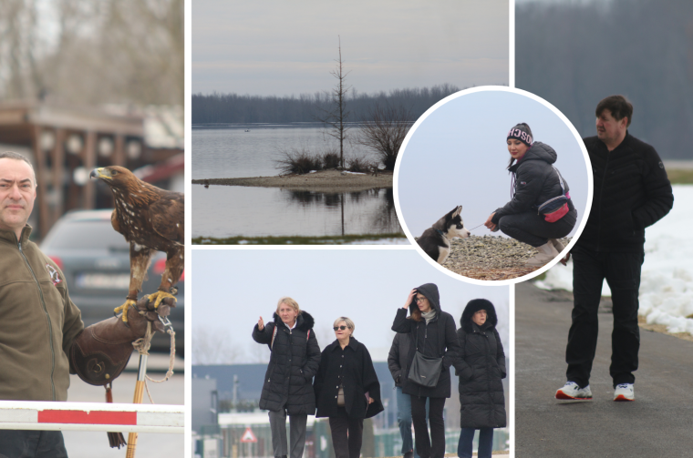 Untitled design(2) Untitled design(2)