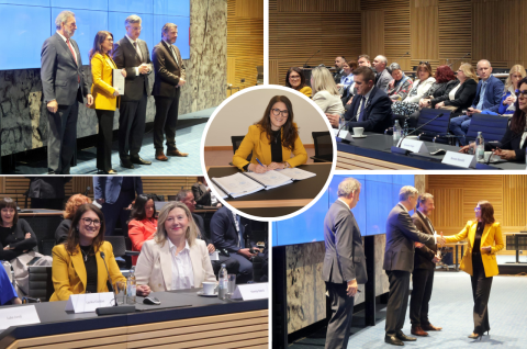 Untitled design(22) Untitled design(22)