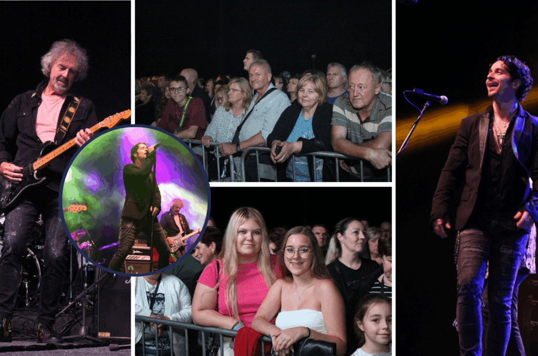 Untitled design(24) Untitled design(24)