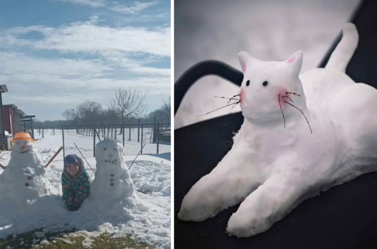 Untitled design(3) Untitled design(3)