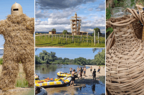 Untitled design(3) Untitled design(3)