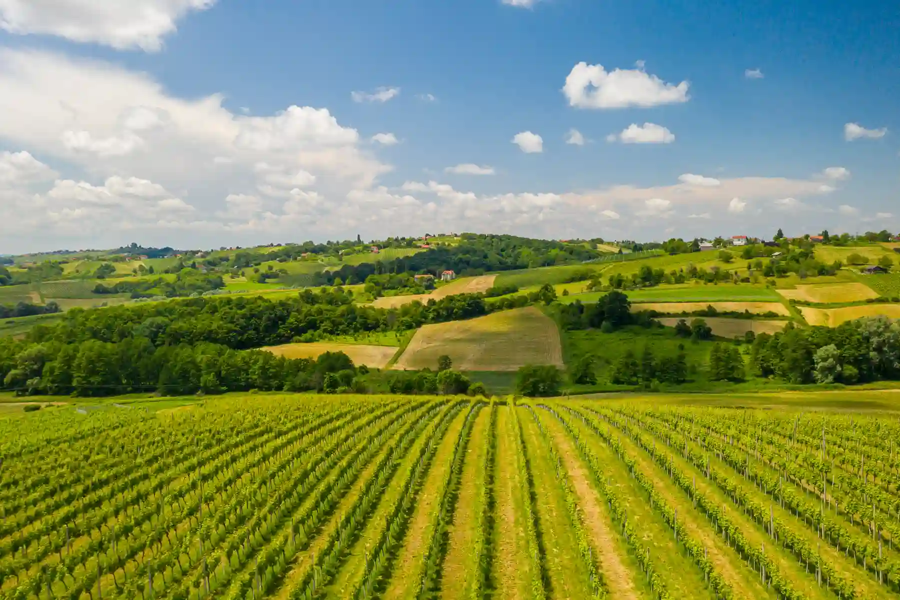 Urbanovo 2024 1 bregi štrigova Urbanovo 2024 1 bregi štrigova