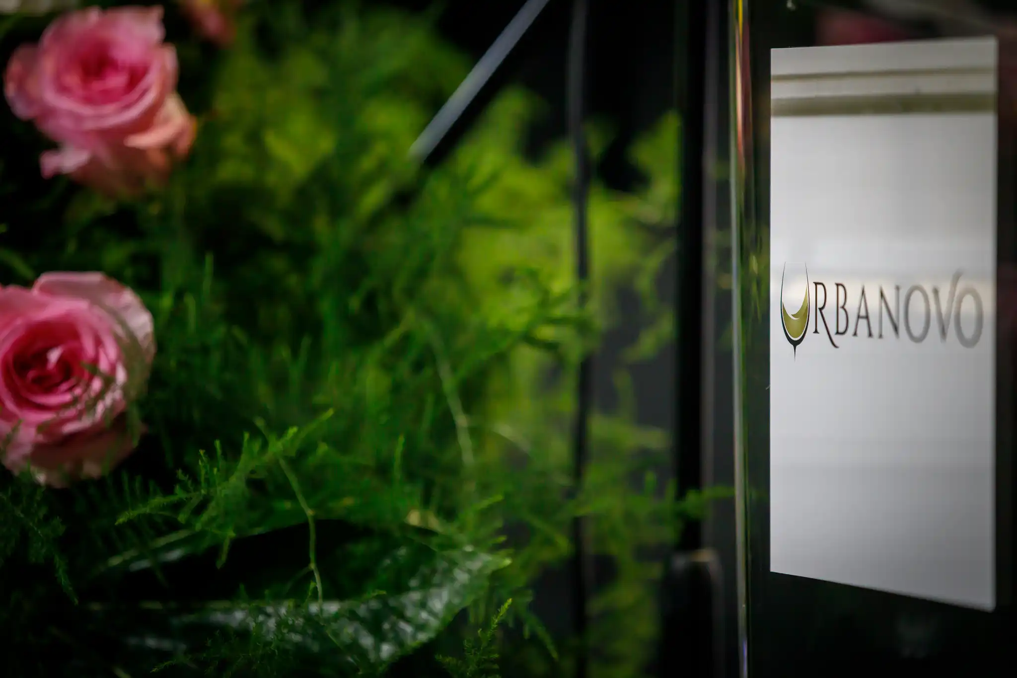 Urbanovo 2024 (9) Urbanovo 2024 (9)