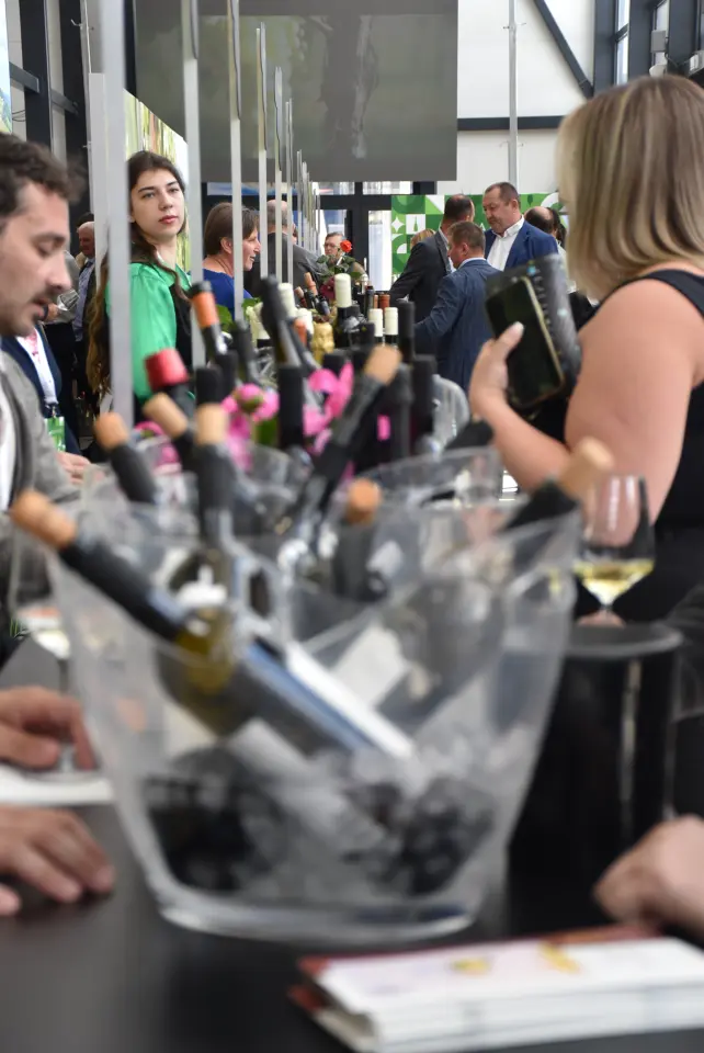 Urbanovo 2025. Štrigova otvorenje (26)