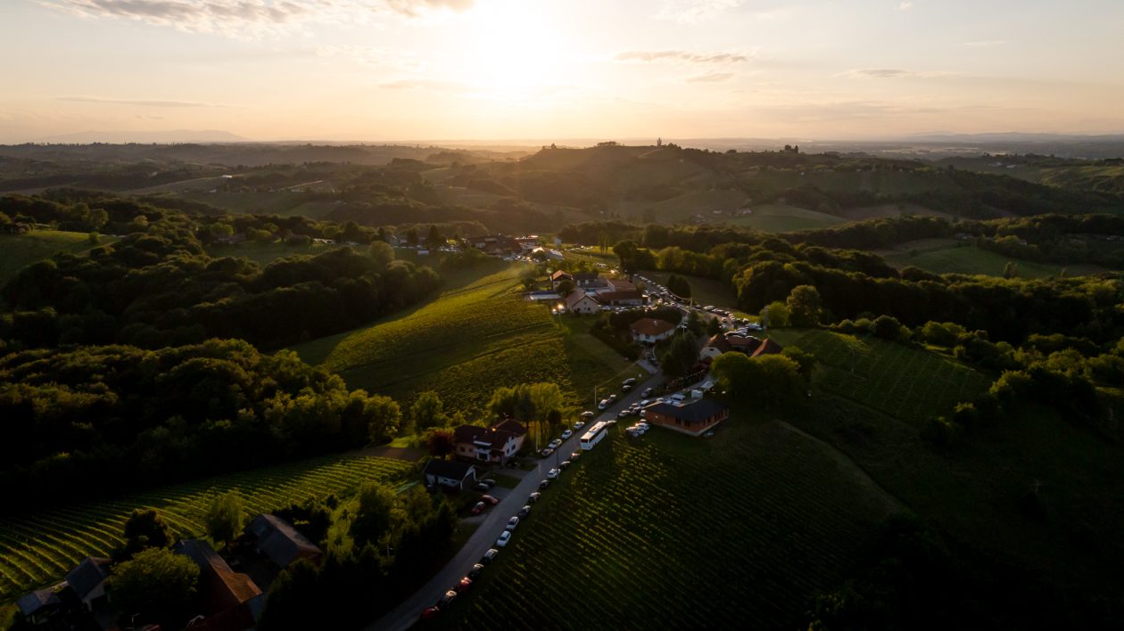 Urbanovo – najava 6