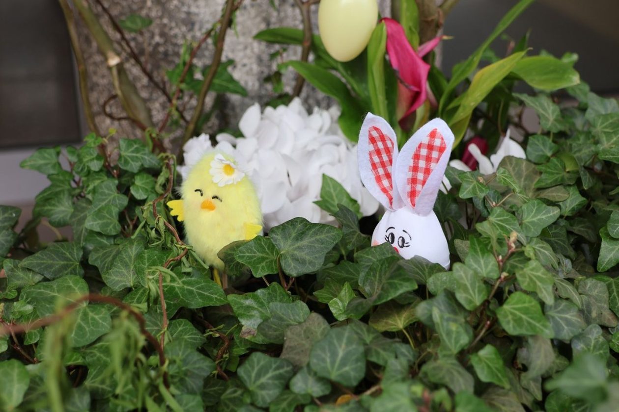 Uskrs dekoraacije Međimurska županija 2026 (4) Uskrs dekoraacije Međimurska županija 2026 (4)