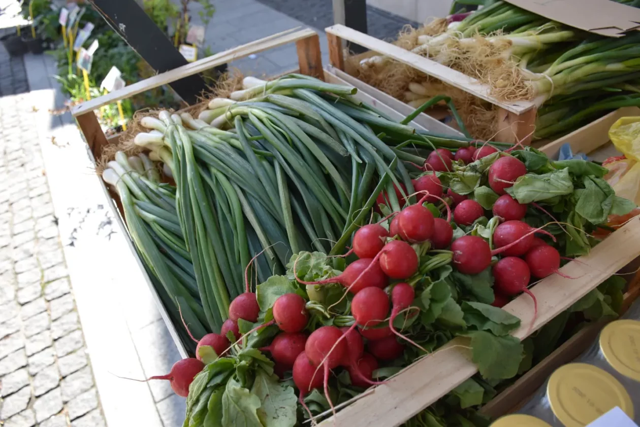 Uskršnji sajam, Čakovec, Uskrs 19.4.25 (56)