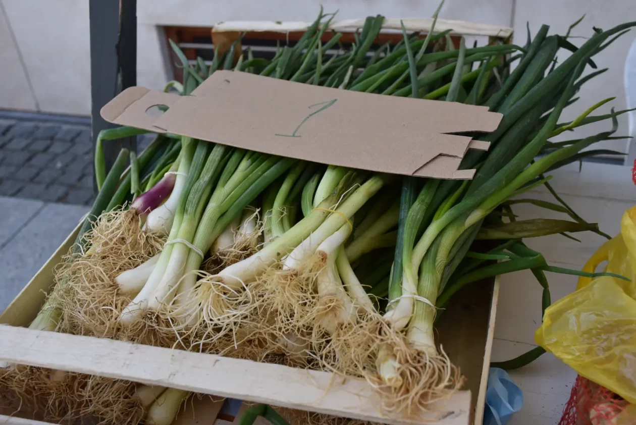 Uskršnji sajam, Čakovec, Uskrs 19.4.25 (57)