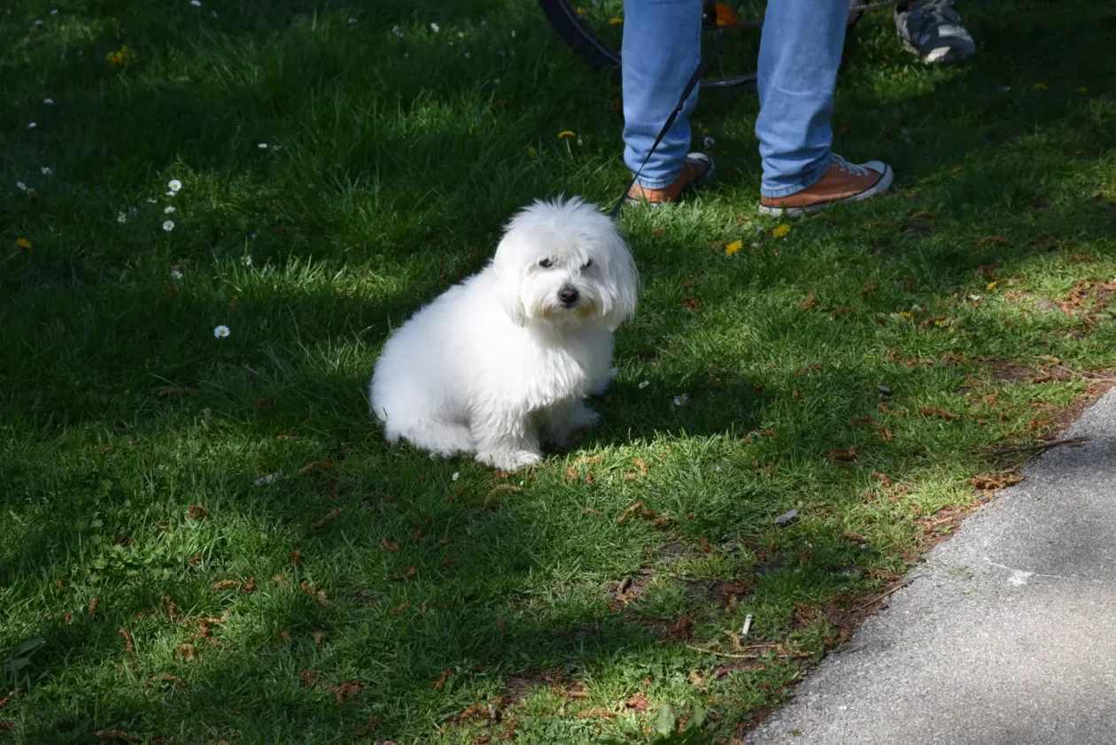 Uskršnji sajam, Čakovec, Uskrs 19.4.25 (72)