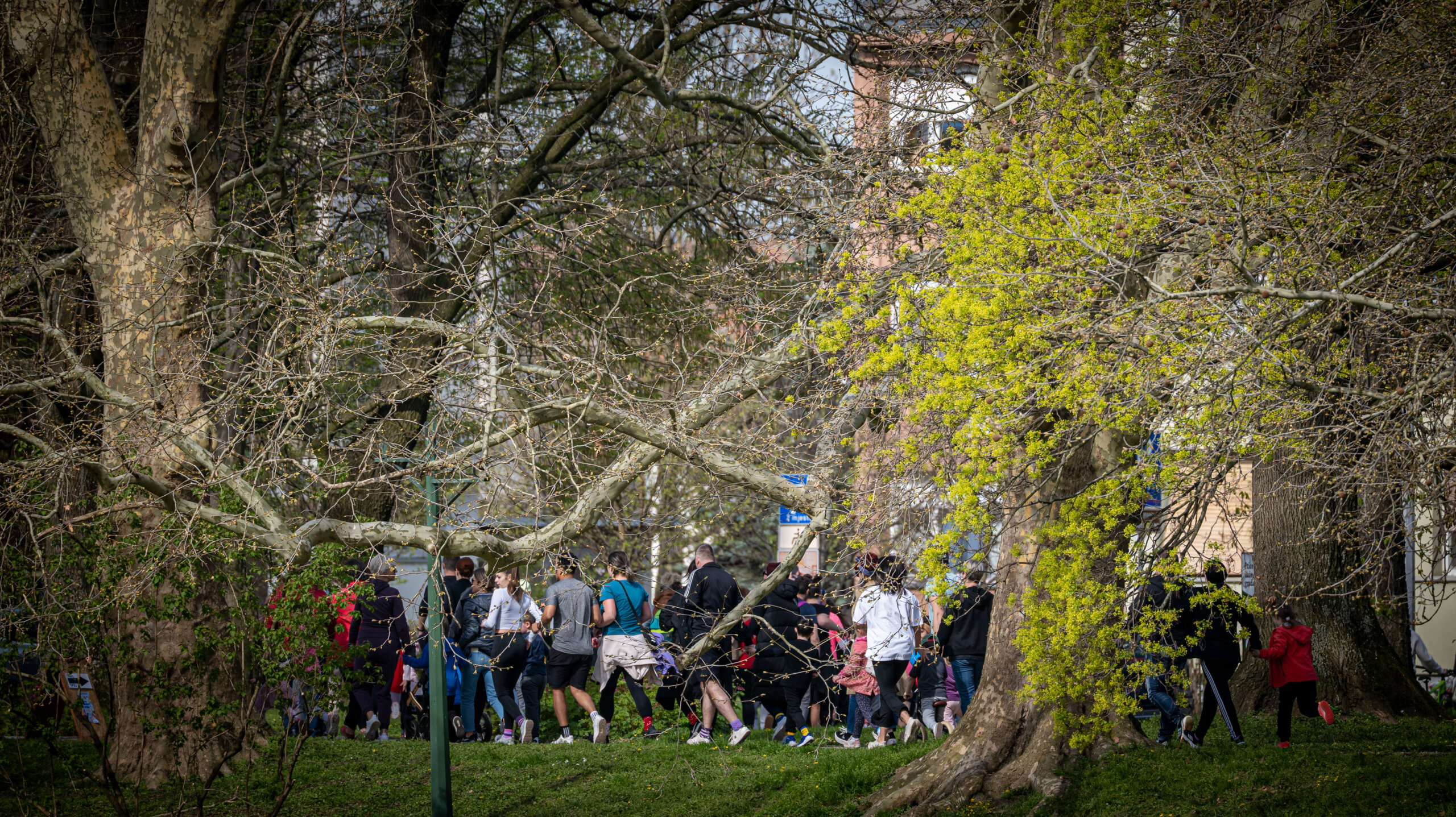 Utrka Šarenim čarapama do cilja-45