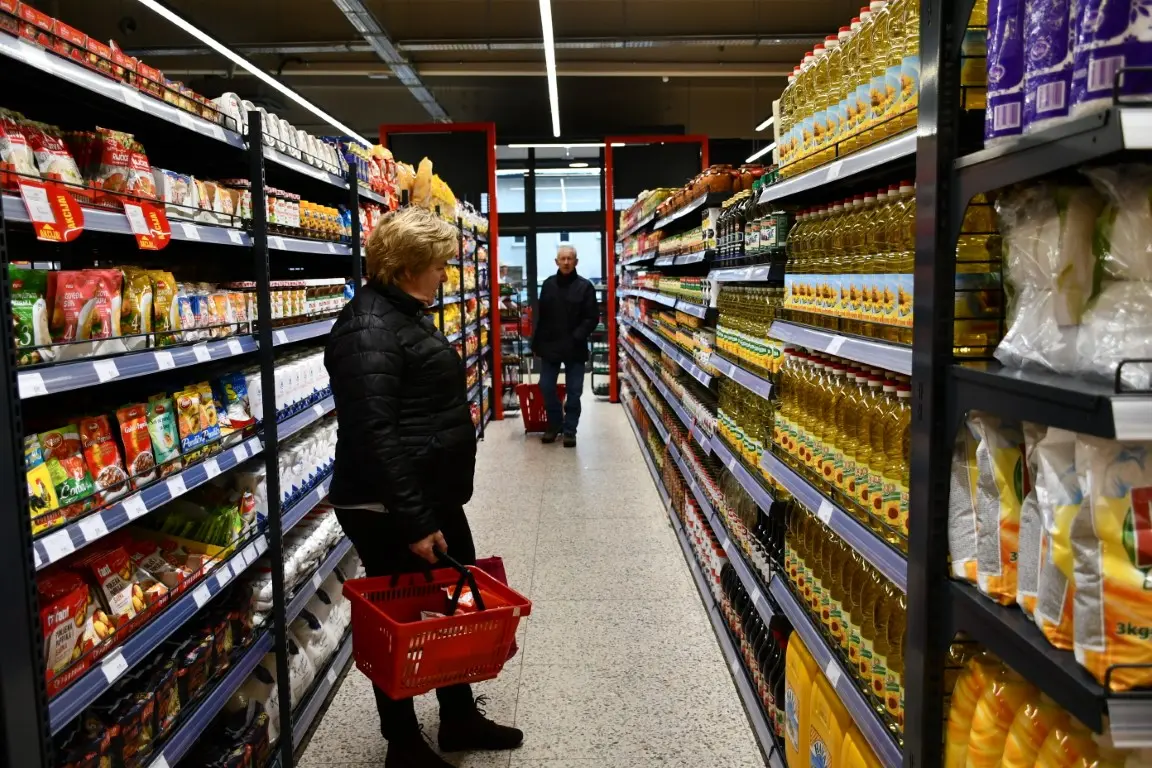 VAJDA NEDELISCE (26) (Medium) VAJDA NEDELISCE (26) (Medium)