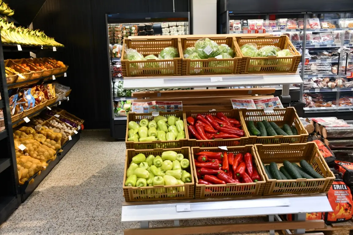 VAJDA NEDELISCE (34) (Medium) VAJDA NEDELISCE (34) (Medium)