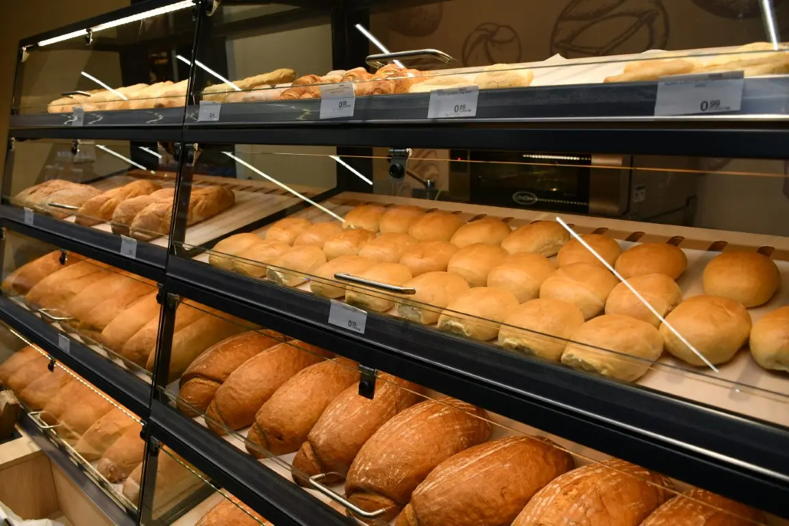 VAJDA NEDELISCE (43) (Medium) VAJDA NEDELISCE (43) (Medium)