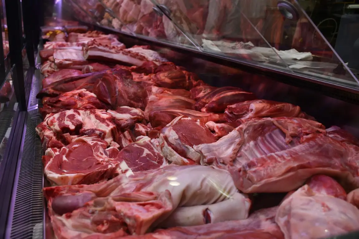 VAJDA NEDELISCE (46) (Medium) VAJDA NEDELISCE (46) (Medium)