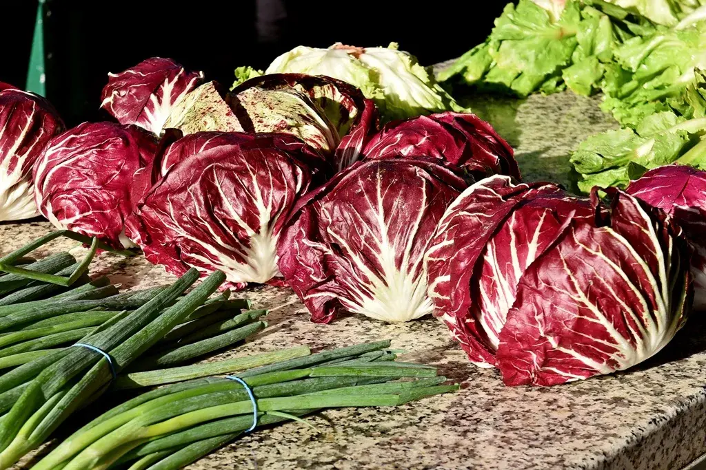 VARAŽDINSKI PLAC (3)