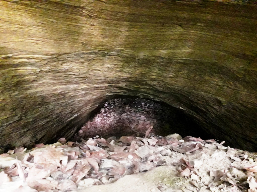 VAŽNA EPOHA Rudarska baština Dragoslavca koja je oblikovala kraj i ljude (1) VAŽNA EPOHA Rudarska baština Dragoslavca koja je oblikovala kraj i ljude (1)