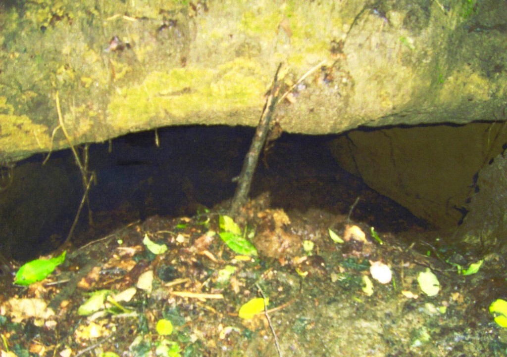 VAŽNA EPOHA Rudarska baština Dragoslavca koja je oblikovala kraj i ljude (17) VAŽNA EPOHA Rudarska baština Dragoslavca koja je oblikovala kraj i ljude (17)