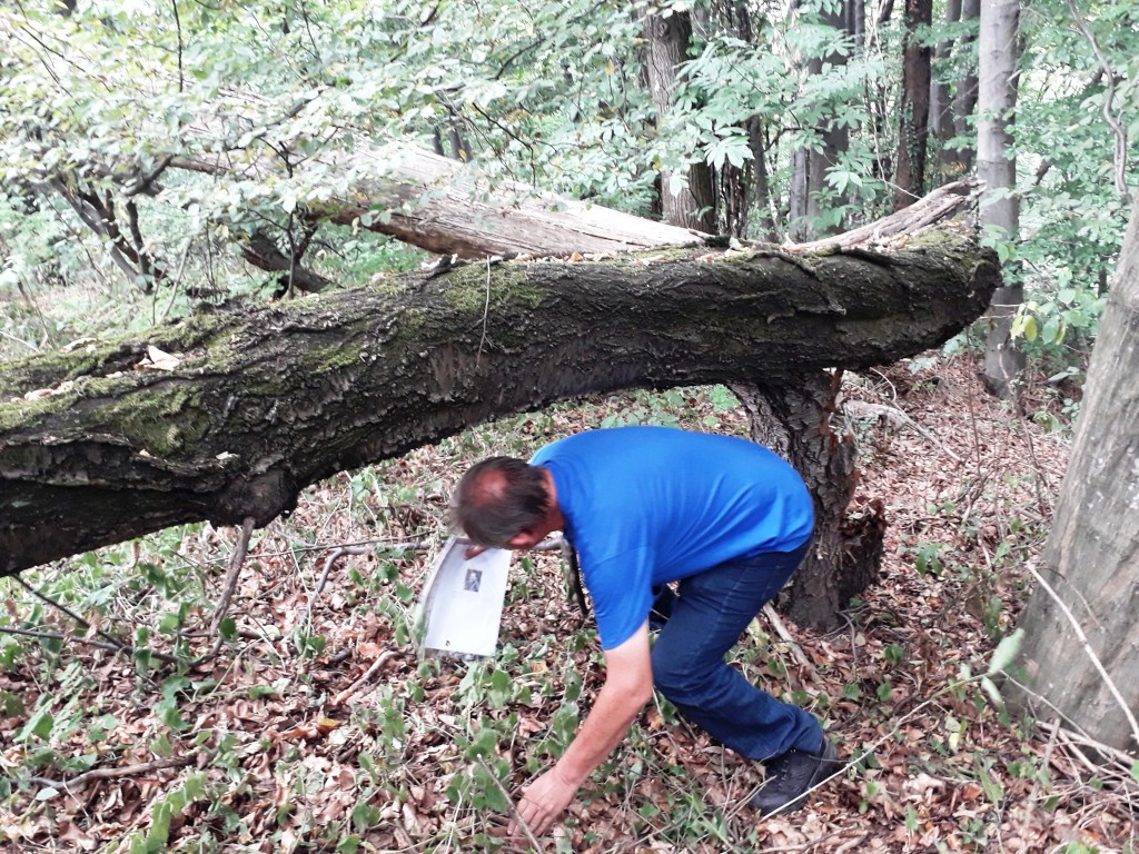 VAŽNA EPOHA Rudarska baština Dragoslavca koja je oblikovala kraj i ljude (19) VAŽNA EPOHA Rudarska baština Dragoslavca koja je oblikovala kraj i ljude (19)