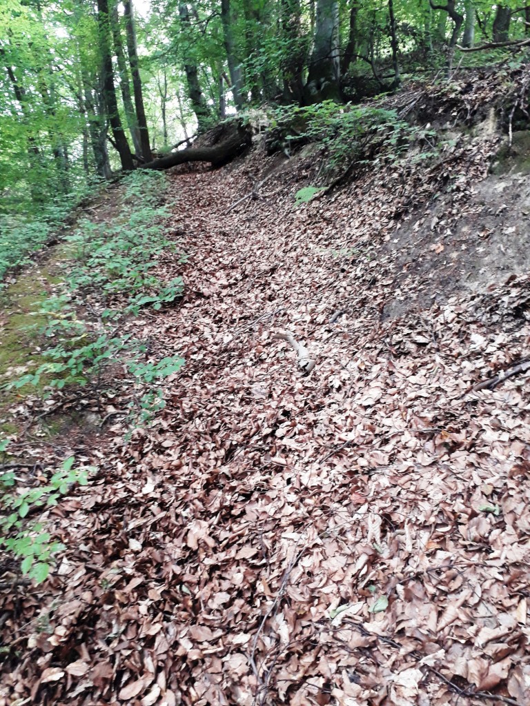 VAŽNA EPOHA Rudarska baština Dragoslavca koja je oblikovala kraj i ljude (21) VAŽNA EPOHA Rudarska baština Dragoslavca koja je oblikovala kraj i ljude (21)