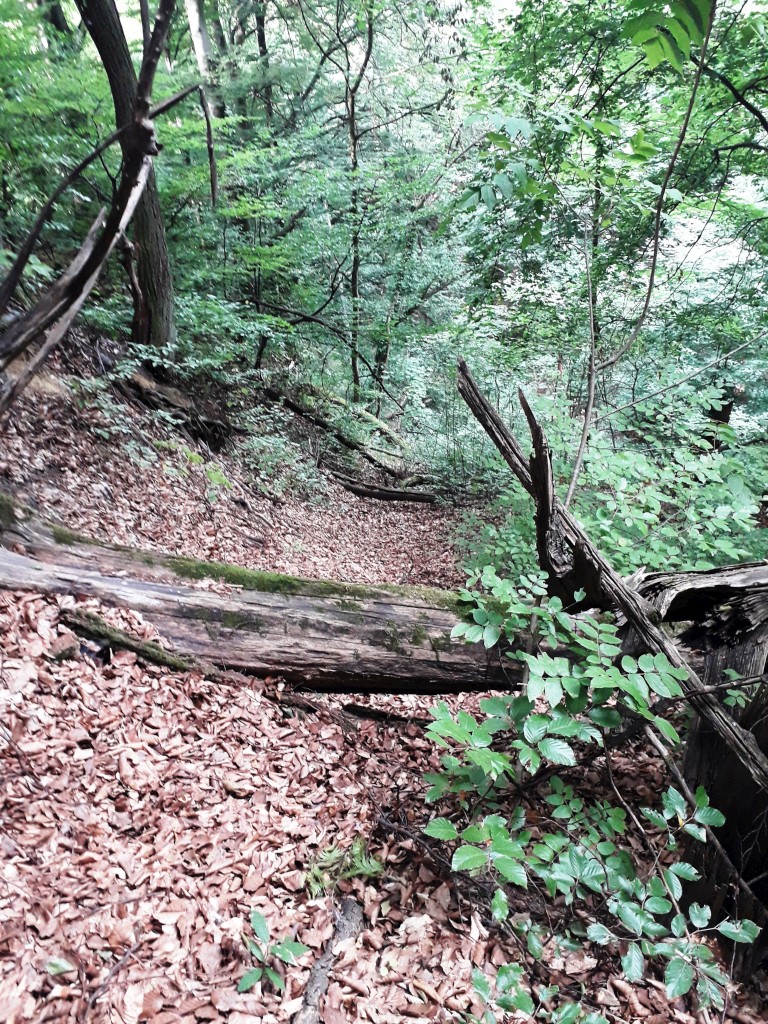 VAŽNA EPOHA Rudarska baština Dragoslavca koja je oblikovala kraj i ljude (22) VAŽNA EPOHA Rudarska baština Dragoslavca koja je oblikovala kraj i ljude (22)