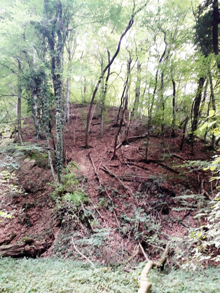 VAŽNA EPOHA Rudarska baština Dragoslavca koja je oblikovala kraj i ljude (25) VAŽNA EPOHA Rudarska baština Dragoslavca koja je oblikovala kraj i ljude (25)