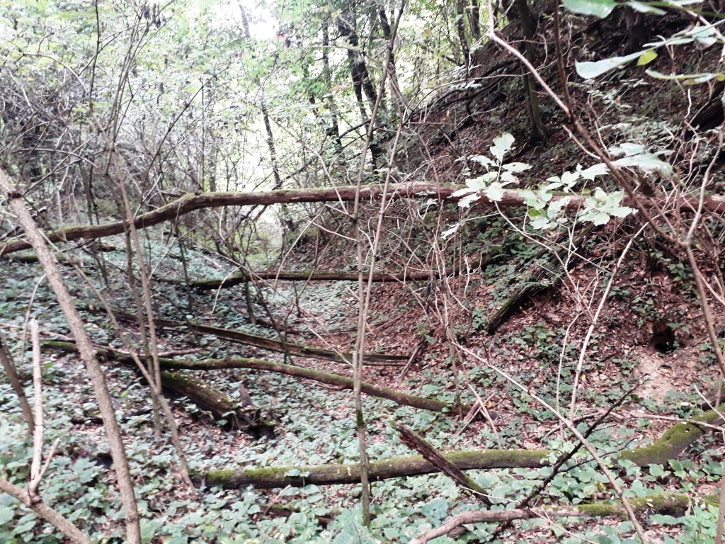 VAŽNA EPOHA Rudarska baština Dragoslavca koja je oblikovala kraj i ljude (3) VAŽNA EPOHA Rudarska baština Dragoslavca koja je oblikovala kraj i ljude (3)
