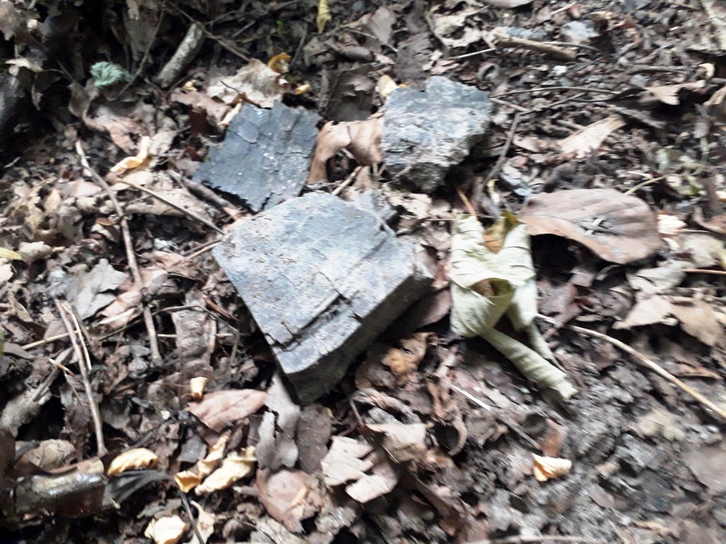 VAŽNA EPOHA Rudarska baština Dragoslavca koja je oblikovala kraj i ljude (4) VAŽNA EPOHA Rudarska baština Dragoslavca koja je oblikovala kraj i ljude (4)