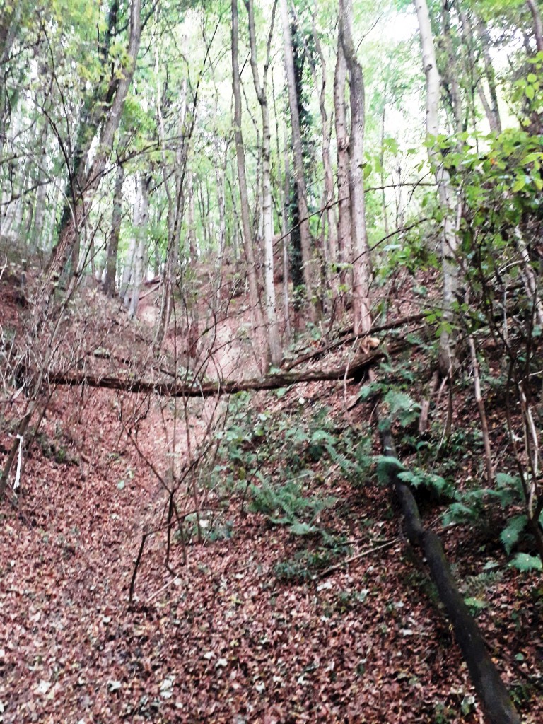 VAŽNA EPOHA Rudarska baština Dragoslavca koja je oblikovala kraj i ljude (5) VAŽNA EPOHA Rudarska baština Dragoslavca koja je oblikovala kraj i ljude (5)
