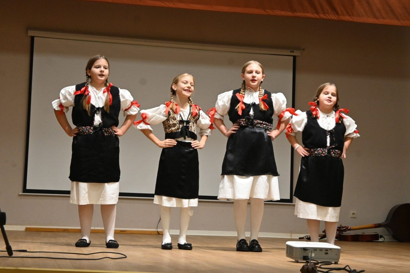 VELIKI JUBILEJ U IVANOVCU Katruže obilježile 40 godina čuvanja međimurske baštine (2)