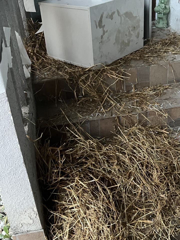 VELIKO SLAVLJE Nakon potepanja, Valerija Luthar i Mihael Medved proslavili zaruke (11) VELIKO SLAVLJE Nakon potepanja, Valerija Luthar i Mihael Medved proslavili zaruke (11)