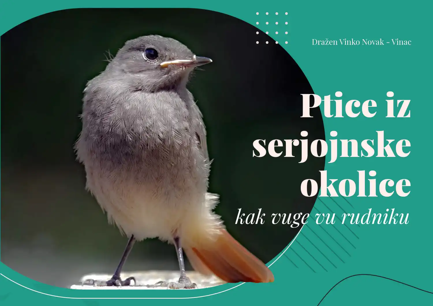 VOLONTERI I PRIRODA Predstavljanje knjige ‘Ptice iz serjojnske okolice’ povodom Međunarodnog dana volontera (2)