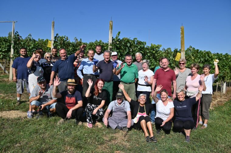 VUKANOVEC Berba u spomen na Branka Kovača-Carinika (13)