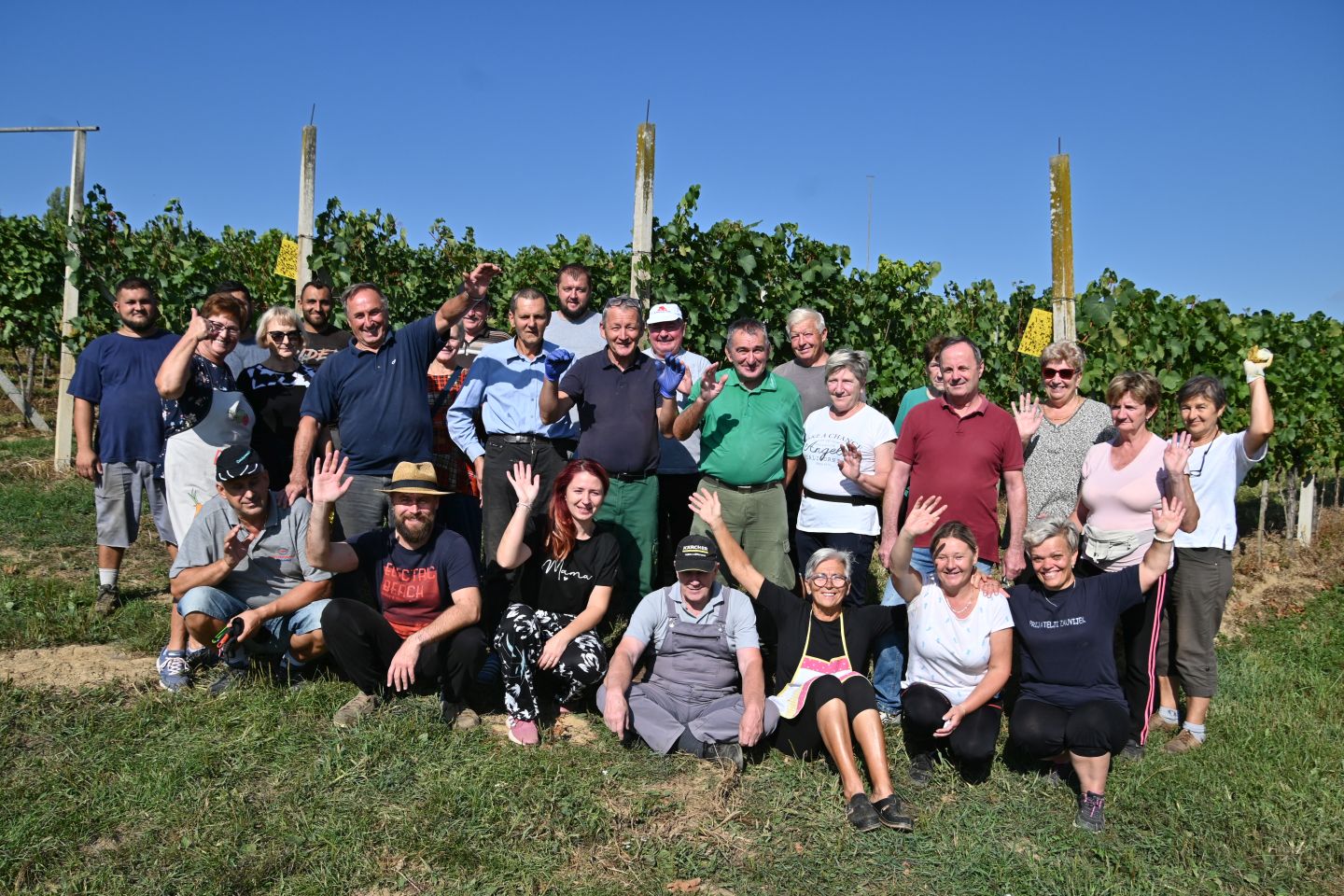 VUKANOVEC Berba u spomen na Branka Kovača-Carinika (13)