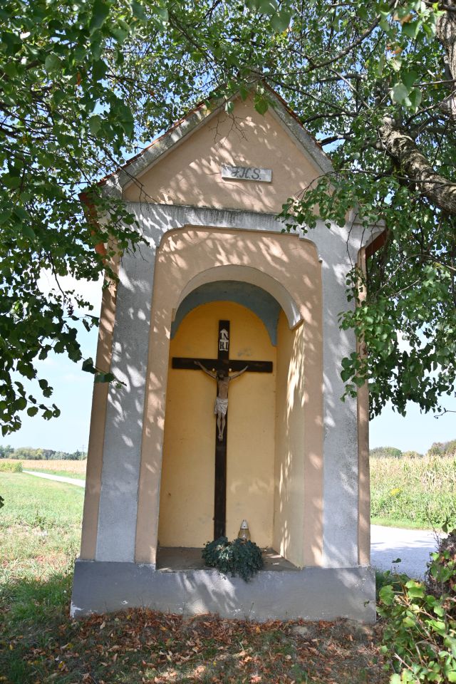 VUKANOVEC Berba u spomen na Branka Kovača-Carinika (6)