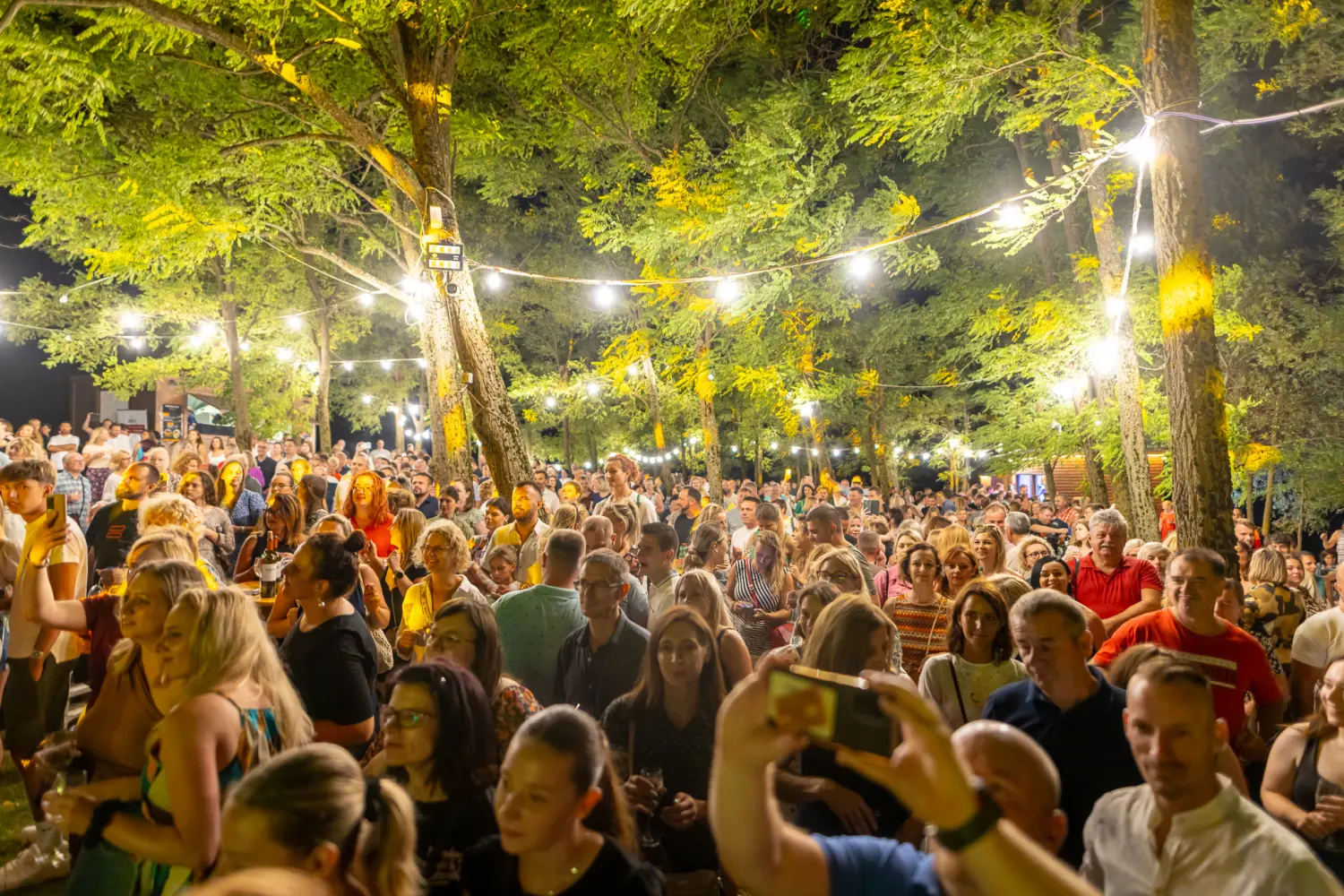 Vanna Terca Art (1) Vanna Terca Art (1)