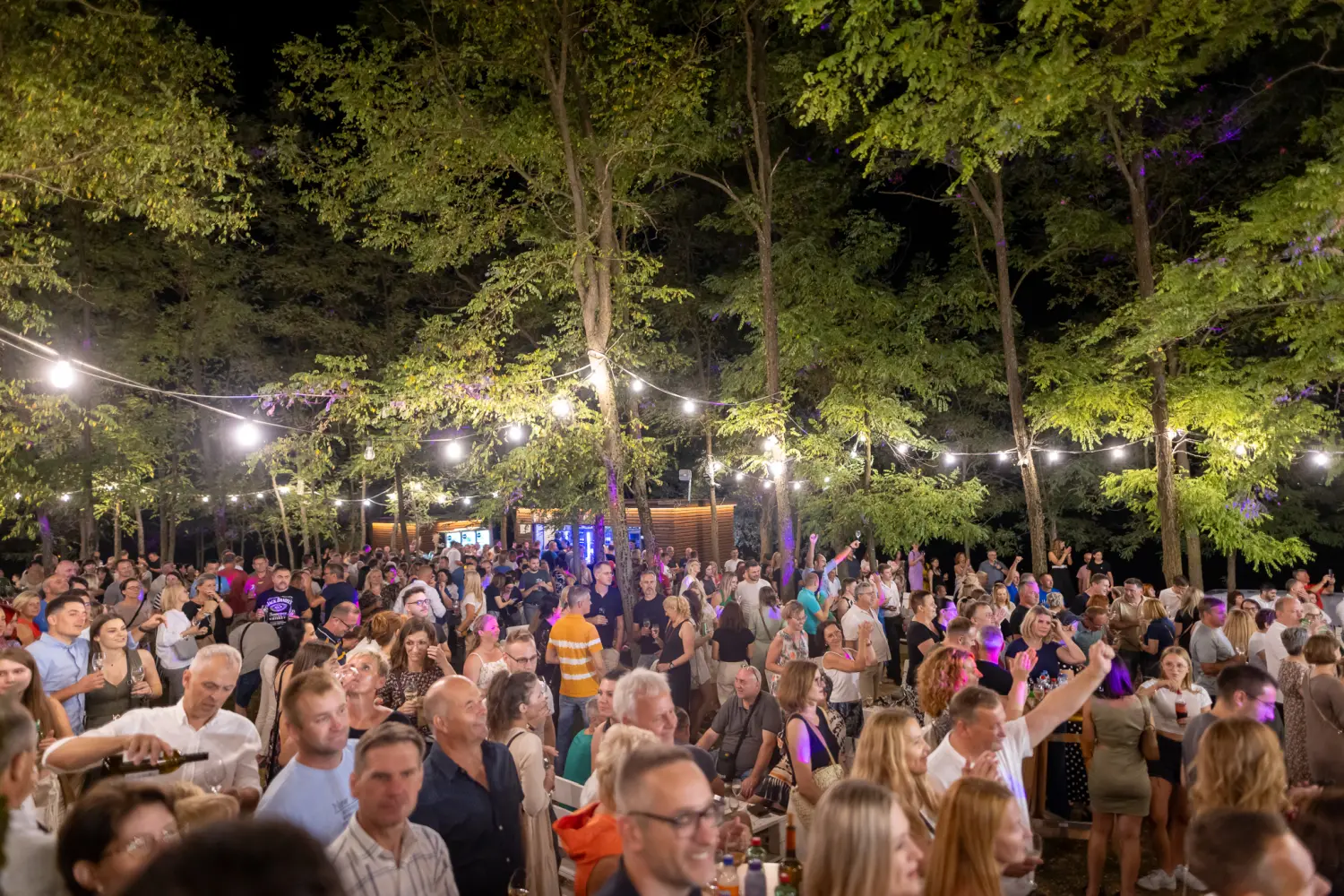 Vanna Terca Art (11) Vanna Terca Art (11)