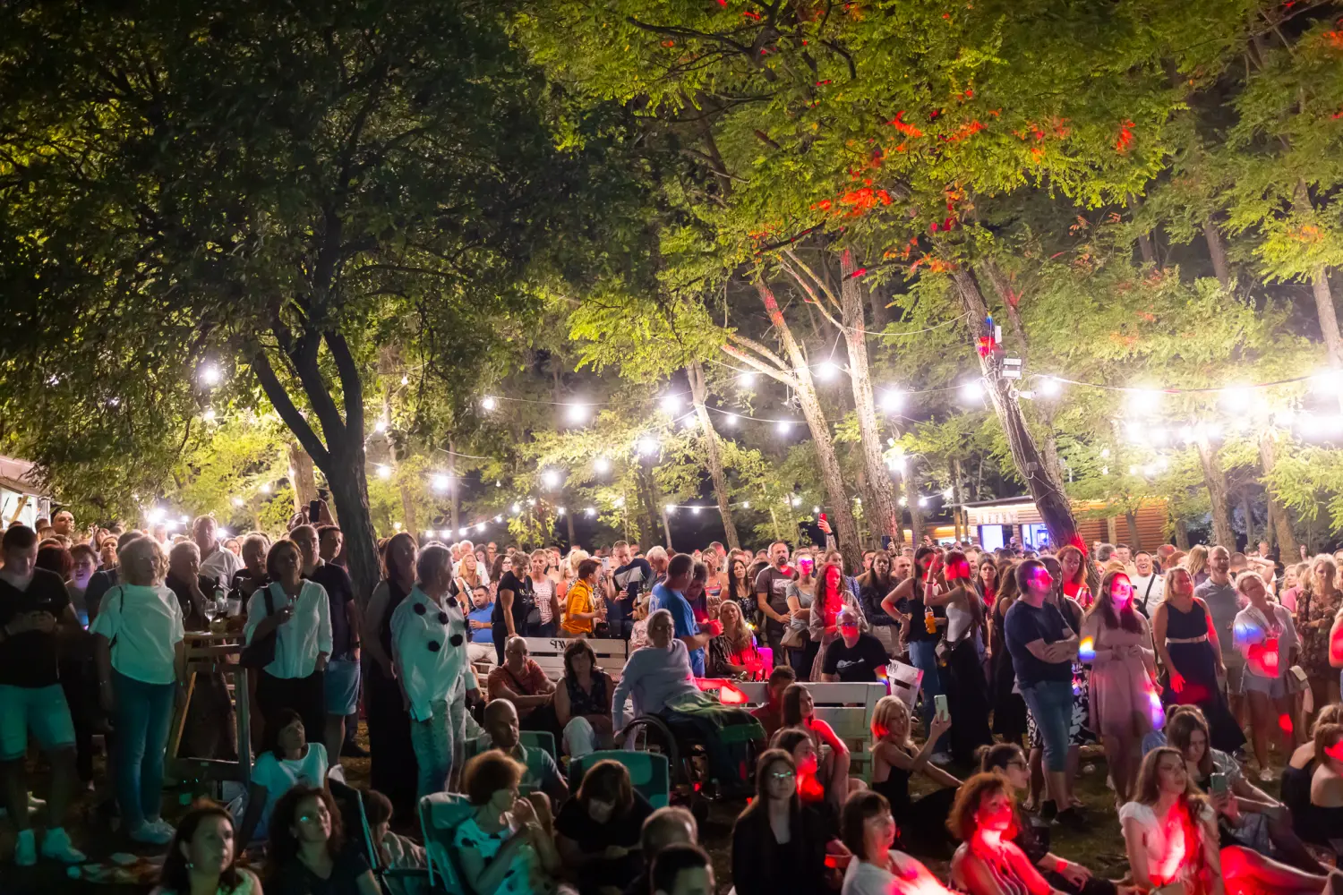 Vanna Terca Art (19) Vanna Terca Art (19)