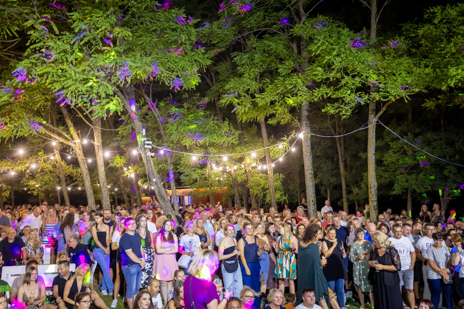 Vanna Terca Art (25) Vanna Terca Art (25)