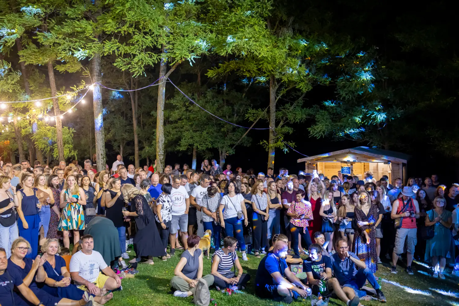 Vanna Terca Art (26) Vanna Terca Art (26)