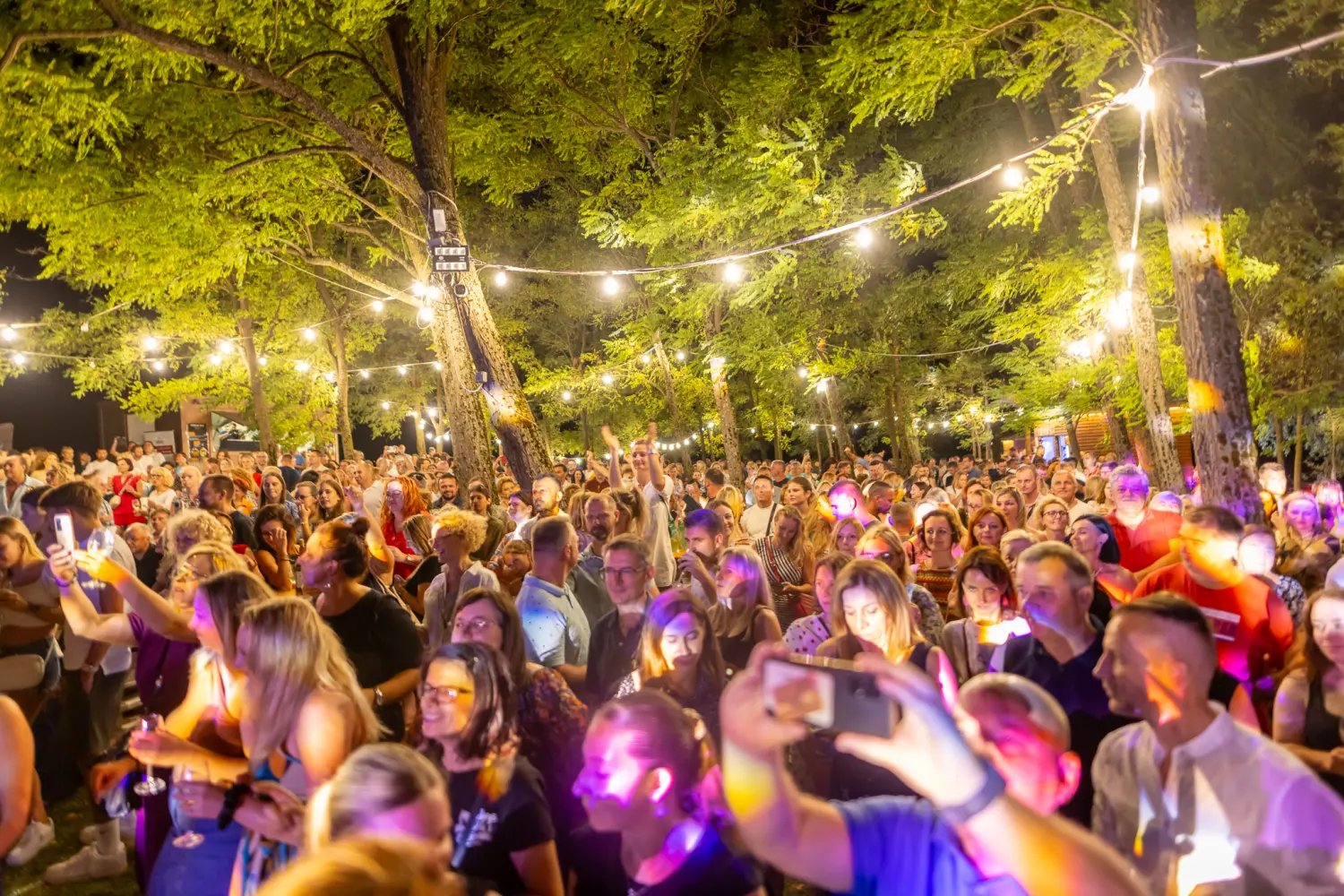 Vanna Terca Art (29) Vanna Terca Art (29)