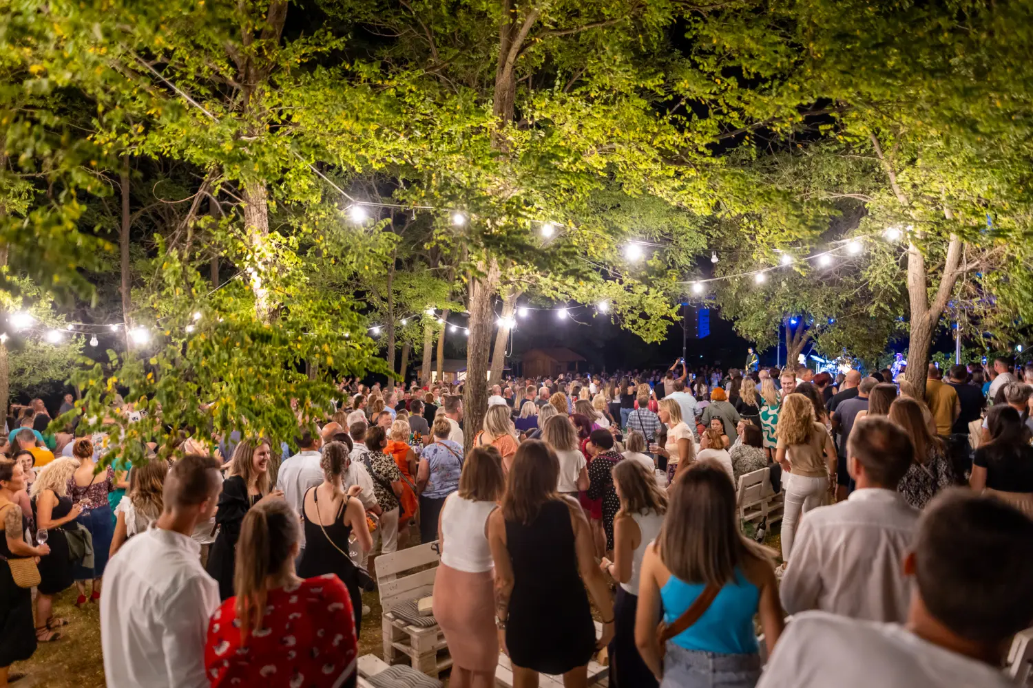 Vanna Terca Art (3) Vanna Terca Art (3)