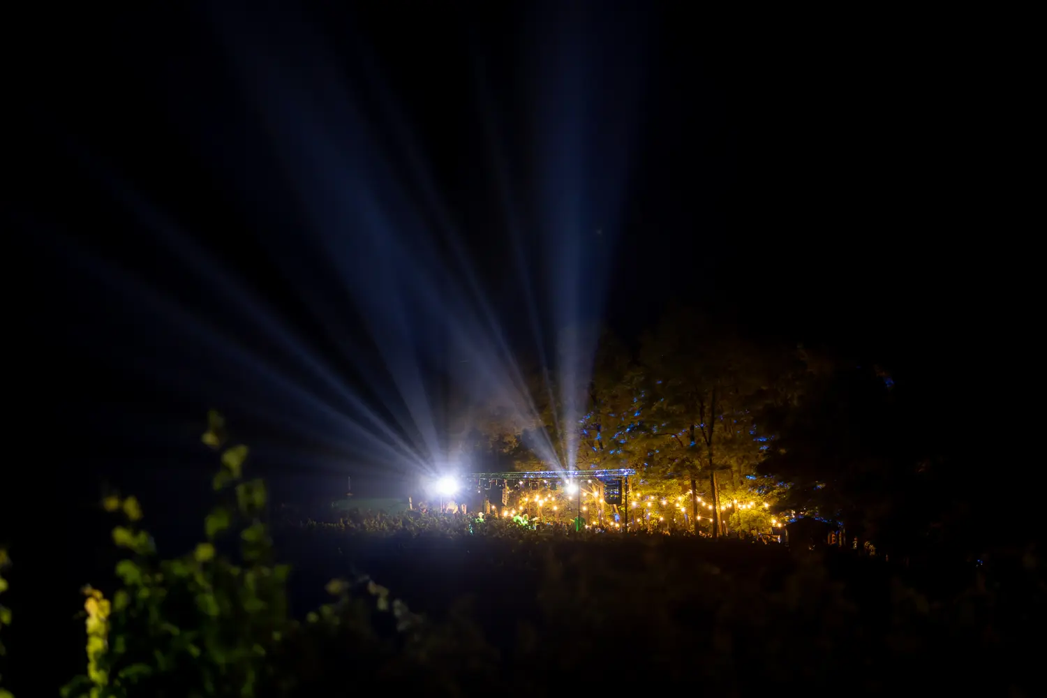 Vanna Terca Art (7) Vanna Terca Art (7)