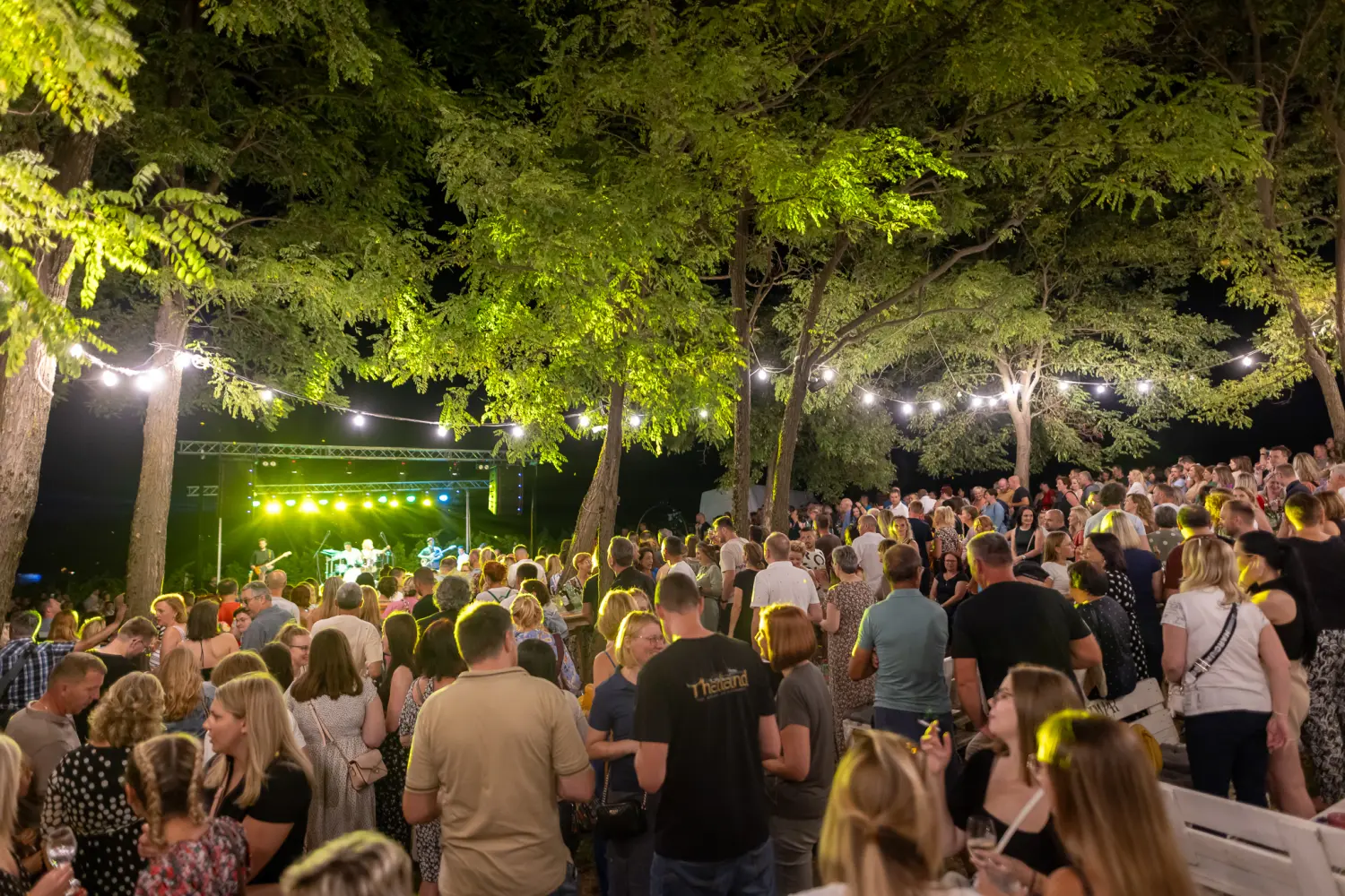 Vanna Terca Art (9) Vanna Terca Art (9)