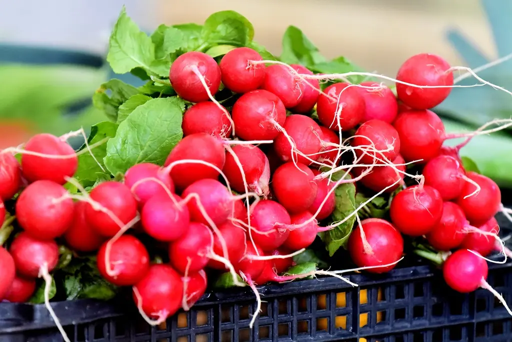 Varaždinski plac 03-01-2026 (16)