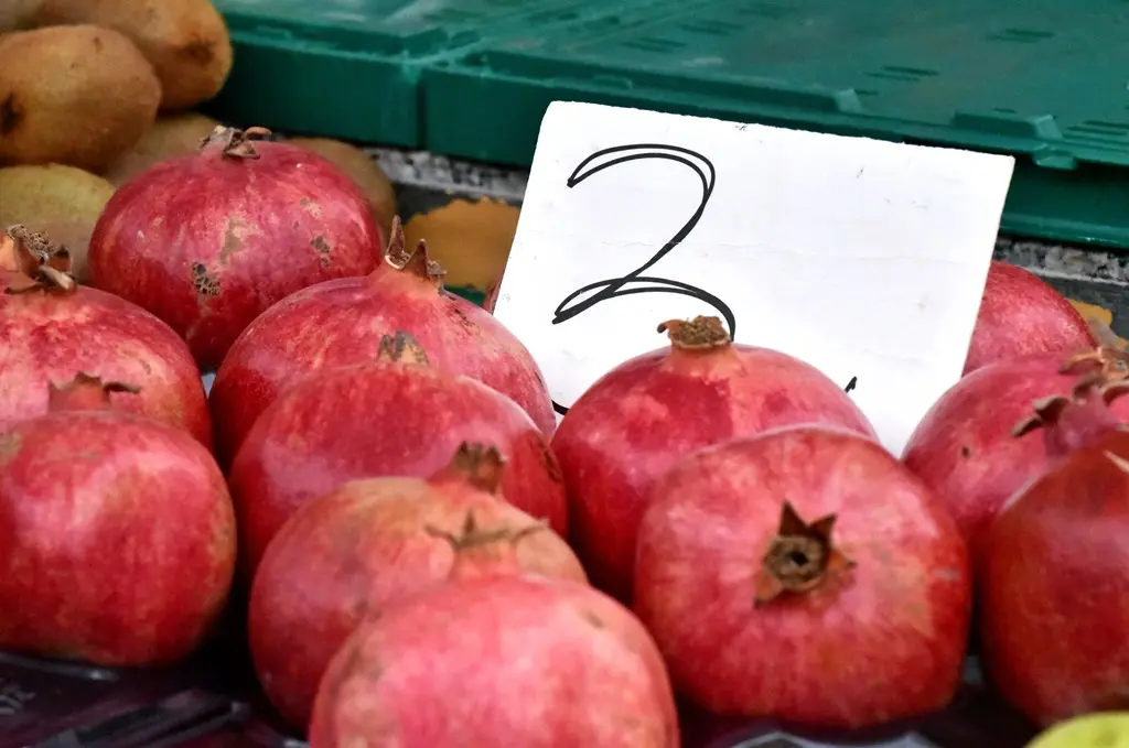 Varaždinski plac 03-01-2026 (18)