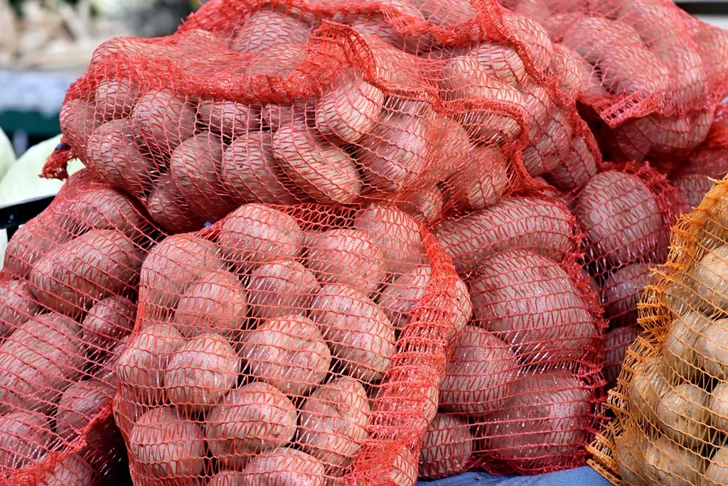 Varaždinski plac (12)