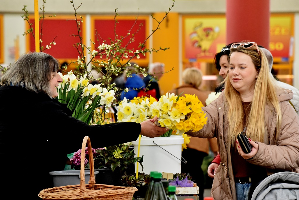 Varaždinski plac (12) Varaždinski plac (12)